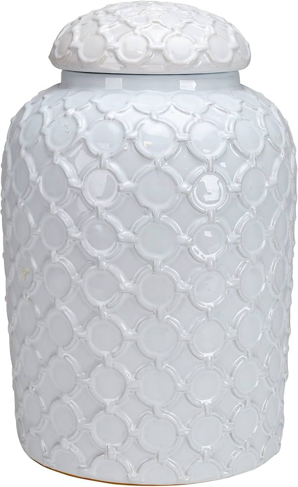 TIC Collection 17-528 Selectives Ceramic Carson Jar with Lid, White | Amazon (US)