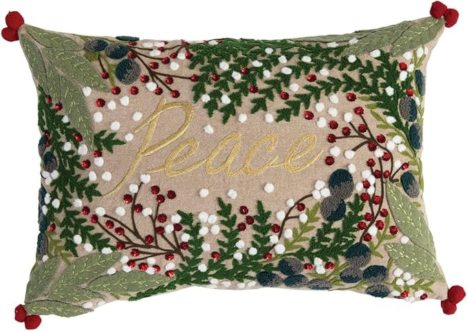 Creative Co-Op 20" Embroidered Cotton Chambray Pillow | Amazon (US)