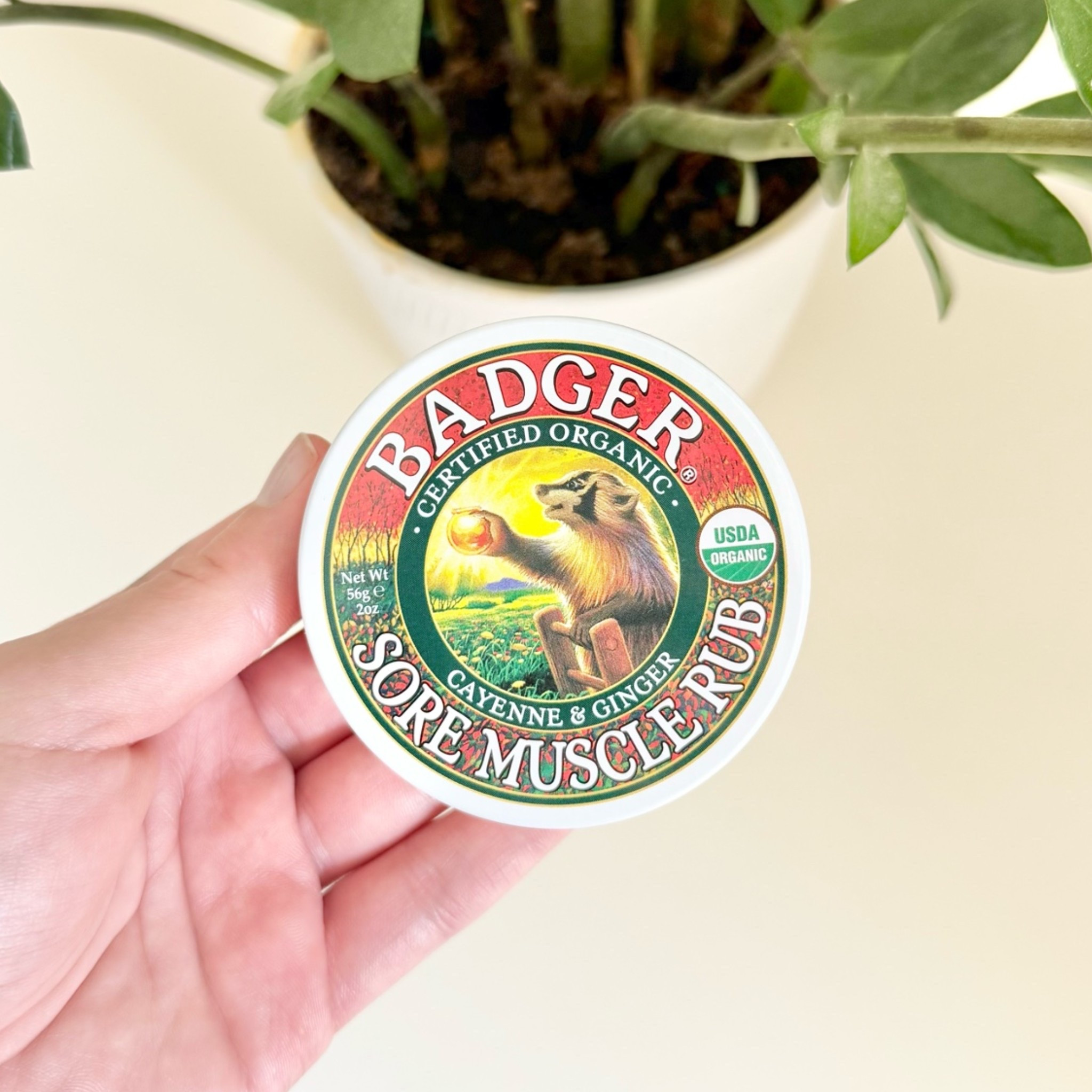 @badgerbalm 
Sore Muscle Rub
$11.99
