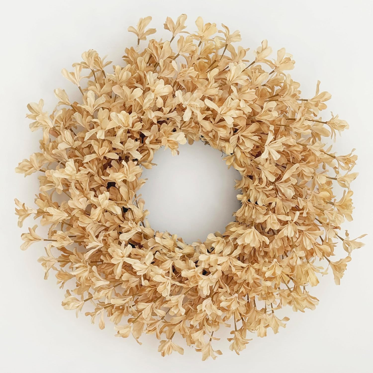24 Inch Fall Wreaths for Front Door, Beige Forsythia Autumn Wreath | Amazon (US)