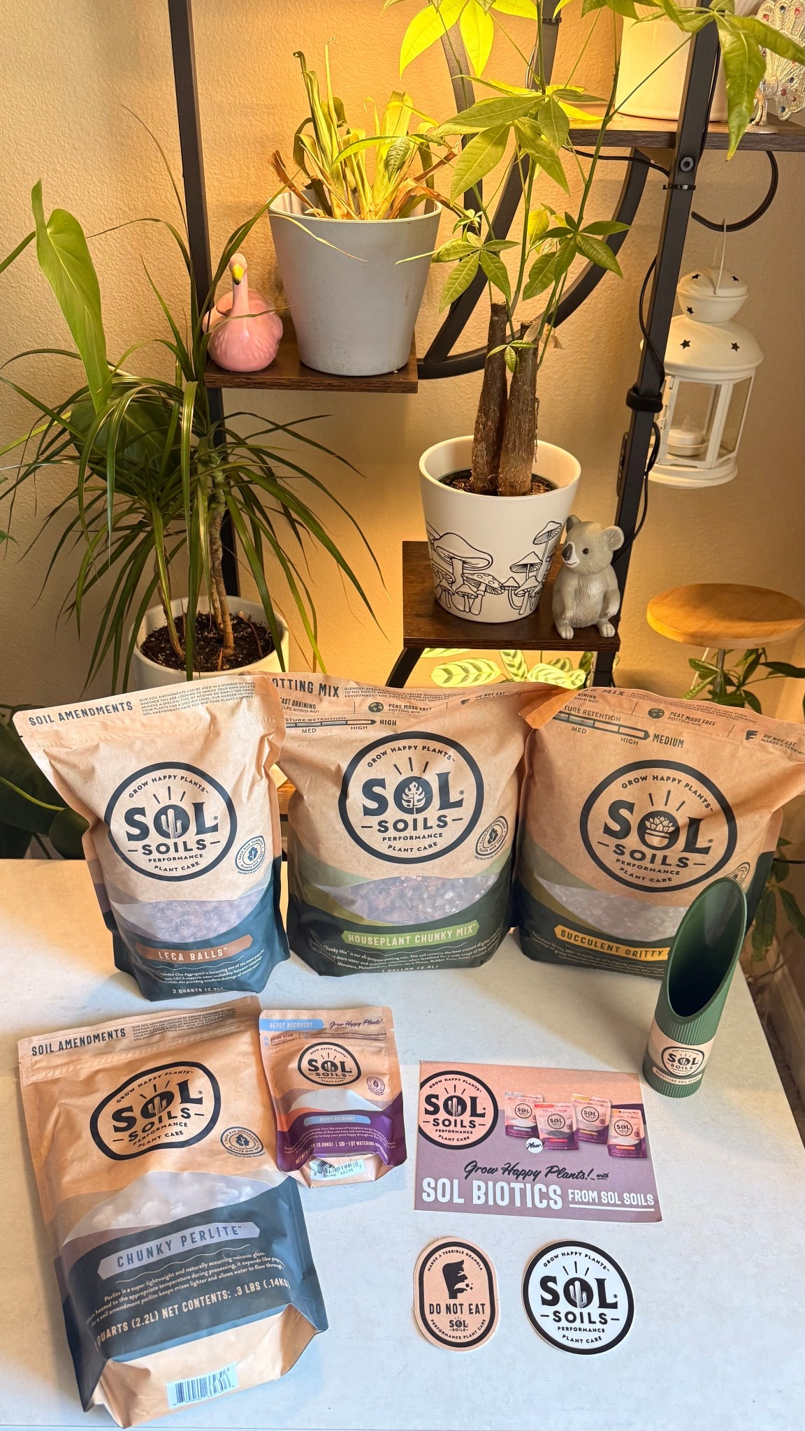 POV: You finally stopped killing your plants 🌿
I’ve been using @solsoils  for a while now and honestly? Game changer. Their chunky mixes are actually formulated for aroids, succulents, and everything in between — no more root rot, no more guessing.
I linked everything in my LTK Shop so you can shop directly from there! 🔗 (link in bio)
#ad #liketkit @Shop.LTK #solsoils @Sol Soils 

#LTKSeasonal #LTKHome #LTKSaleAlert
