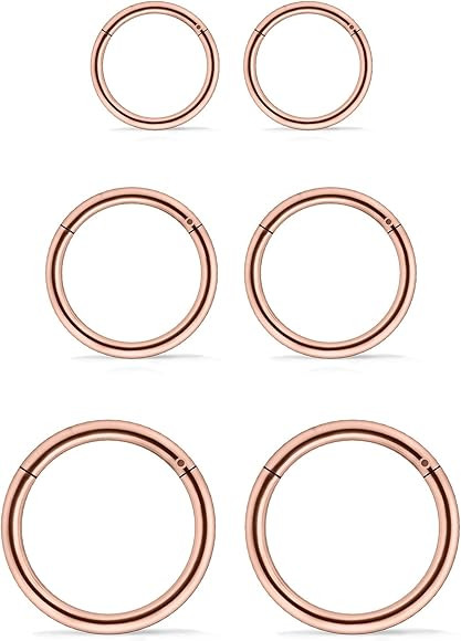 Vsnnsns Nose Rings Hoops 316l Surgical Steel Hinged Segment Nose Rings Hoop 18G 16G 14G Septum Ring  | Amazon (US)
