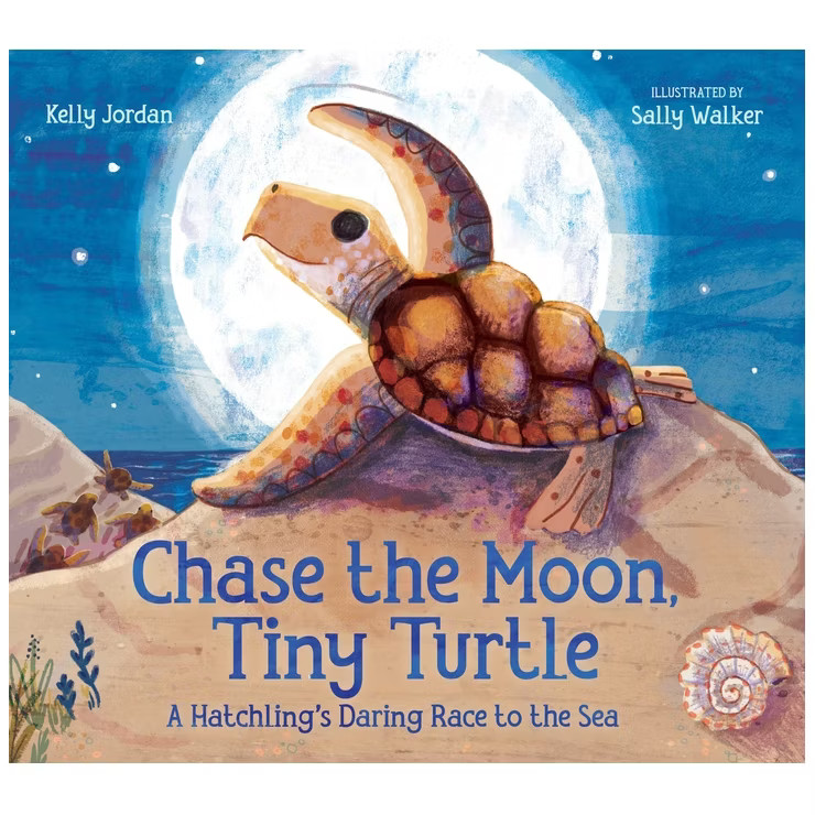 Chase the Moon, Tiny Turtle - by  Kelly Jordan (Hardcover) | Target