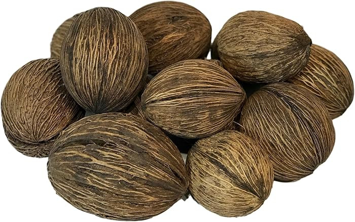14 Piece Natural Mintola Ball Seed Pod Bowl Filler \u2013 Organic Oval-Shaped Nut Shells for Deco... | Amazon (US)