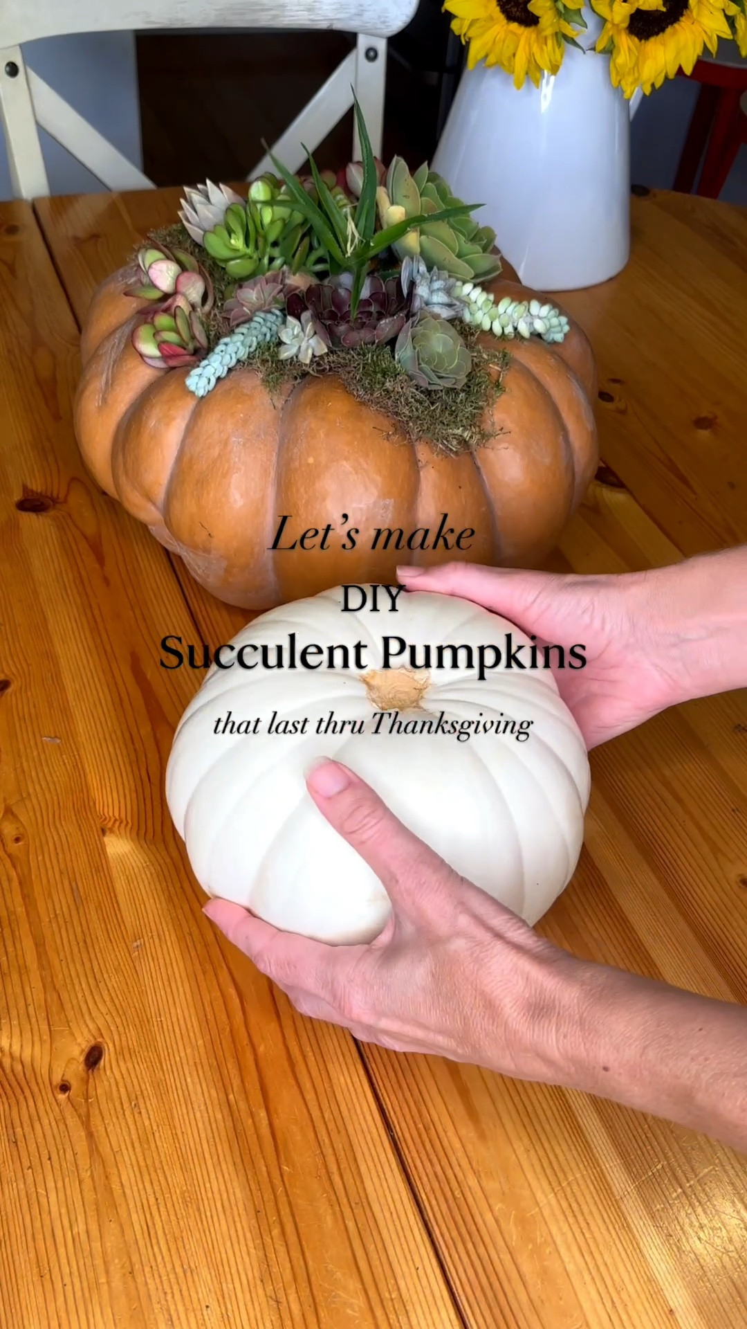 This might be one of my favorite fall DIYs. 🍂 These succulent Cinderella pumpkins are so easy to make, last all season long, and make a beautiful Thanksgiving centerpiece.

The best part? There’s no cutting into the pumpkin, and when the season is over, you can replant the succulents and keep enjoying them.

Make one on your own, or grab some friends, pour something festive, and turn it into a fall girls’ night. 🍷🎃
www.stayingblonde.com

#LTKSeasonal #LTKHome #LTKmomlife