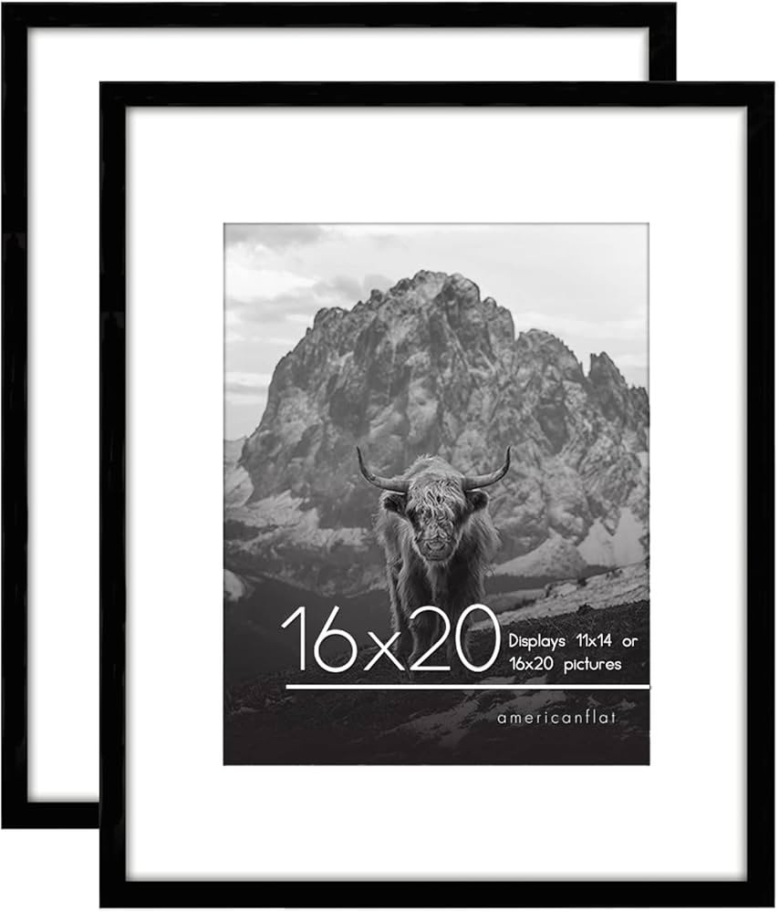 Americanflat 16x20 Poster Frame in Black - Set of 2 - Use as 11x14 Picture Frame with Mat or 16x2... | Amazon (US)