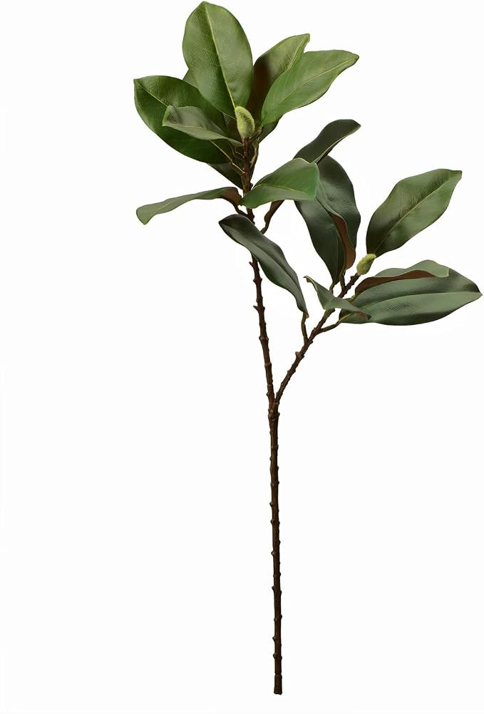 28'' Artificial Southern Magnolia Branches, Realistic Magnolia Tree Fork, Picks for Home Décor, ... | Amazon (US)