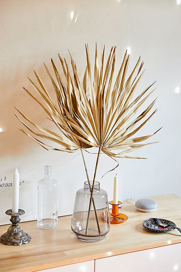 Dried Palmetto Bunch | Urban Outfitters (US and RoW)
