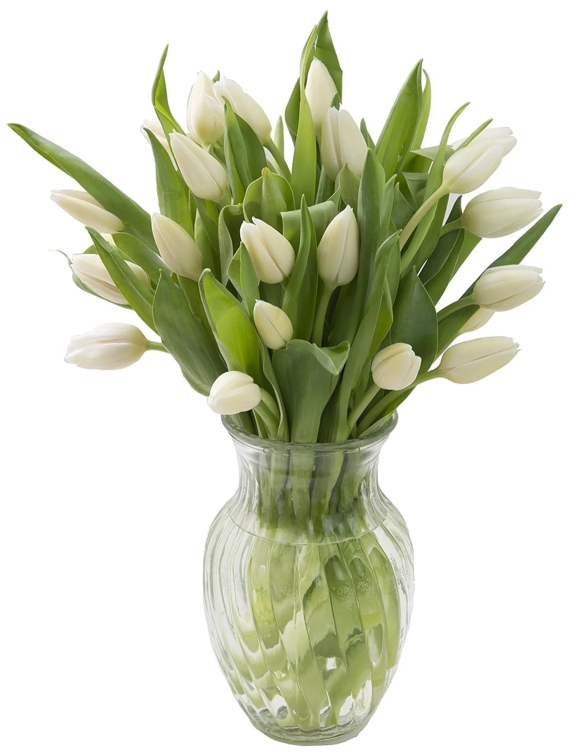 KaBloom Fresh Cut Flowers: 20 White Tulips With Greens with Vase, Fragrant, Gift for all occasion... | Walmart (US)