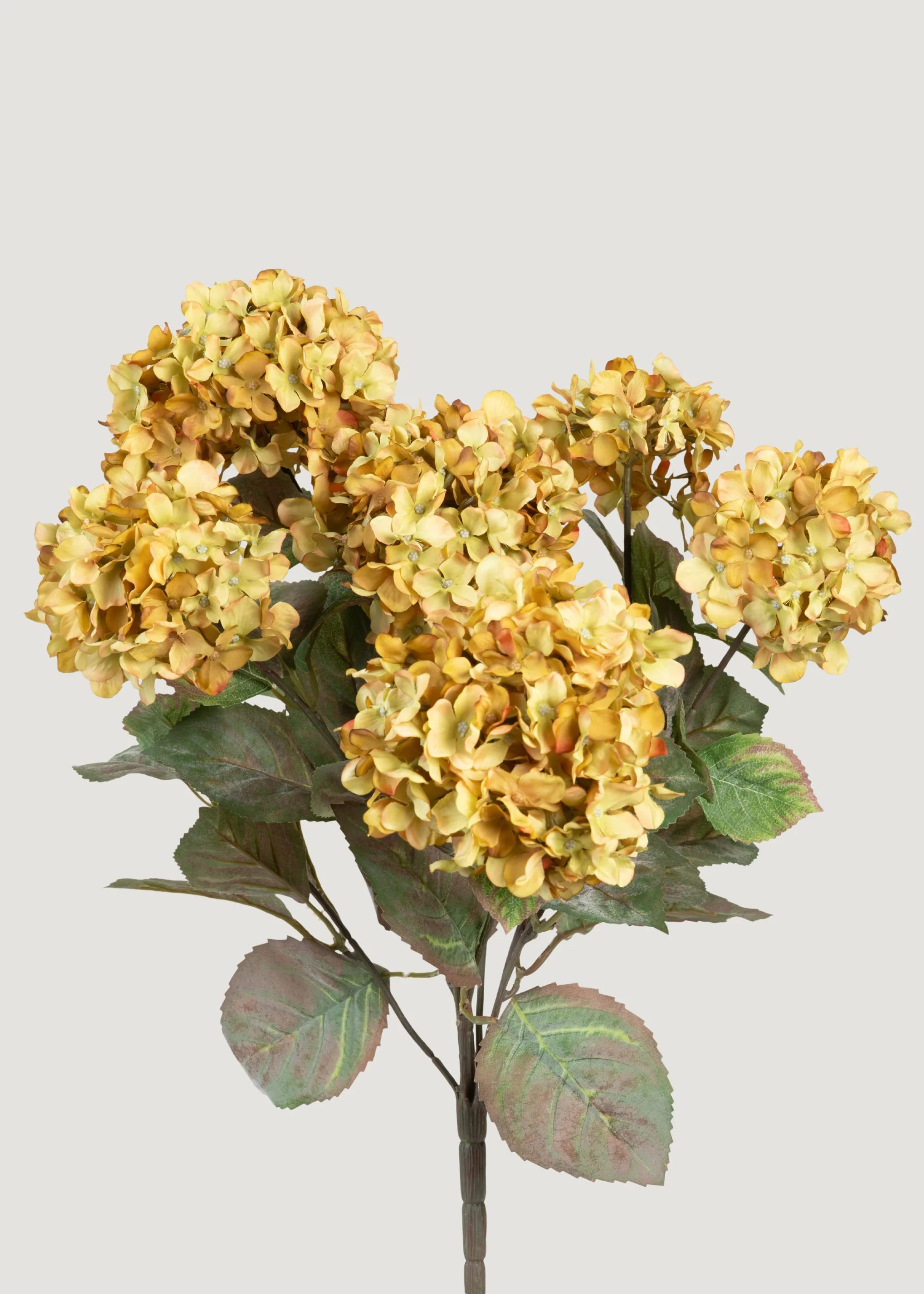 Vintage Green Hydrangea Bush | Premium Artificial Flowers | Afloral | Afloral