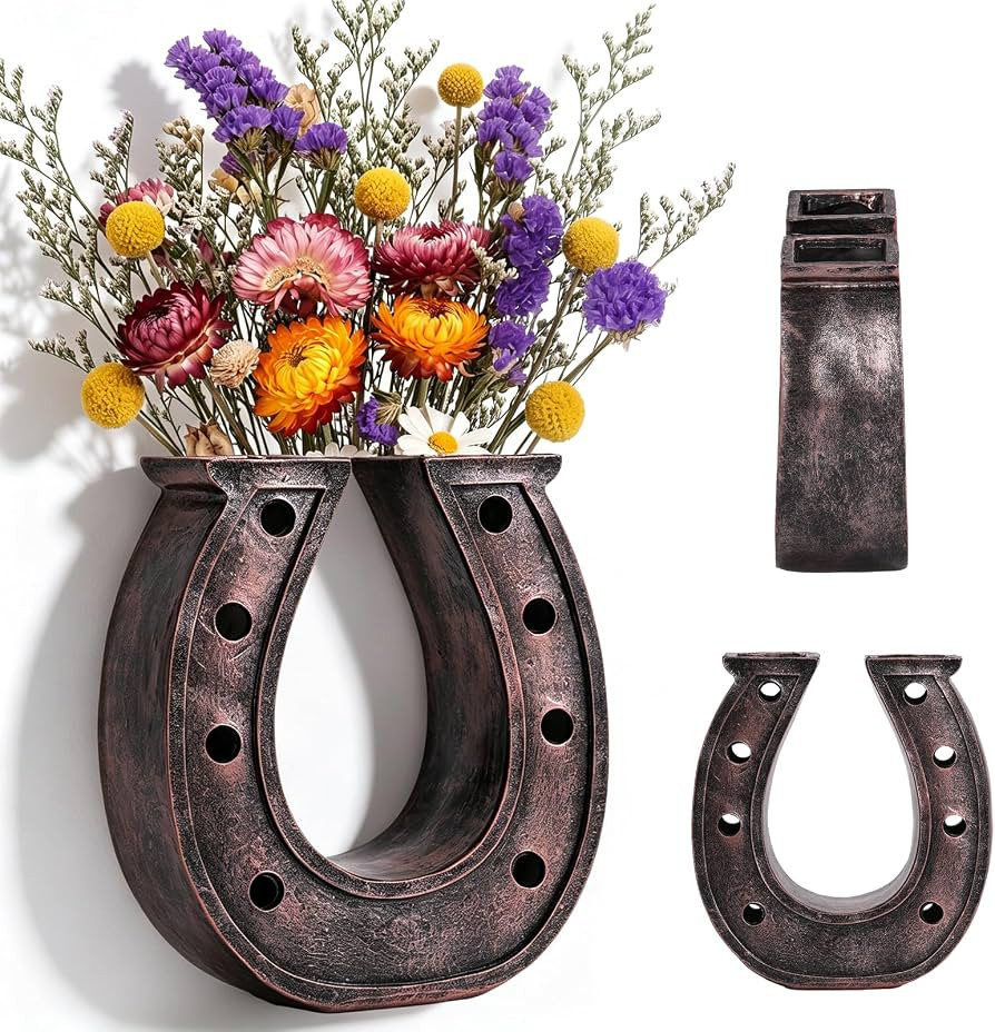 Qinyoung 1Pcs Horseshoe Hanging Wall Planters for Plants, Dry Flower Vase | Amazon (US)