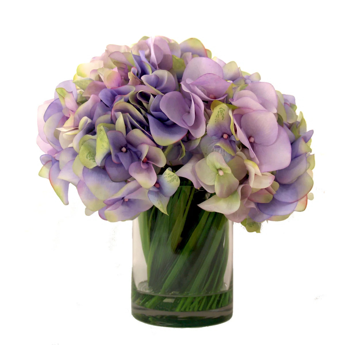Hydrangea in Acrylic Water Vase | Perigold
