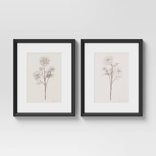 (Set of 2) 16" x 20" Framed Floral Sketch Framed Wall Art White - Threshold™ | Target