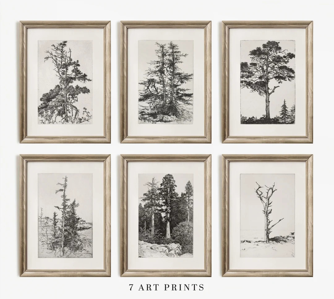 Gallery Wall Art Set, Set of 6, Tree Sketch Wall Print Set, Tree Drawings Etching, Printable Digi... | Etsy (US)