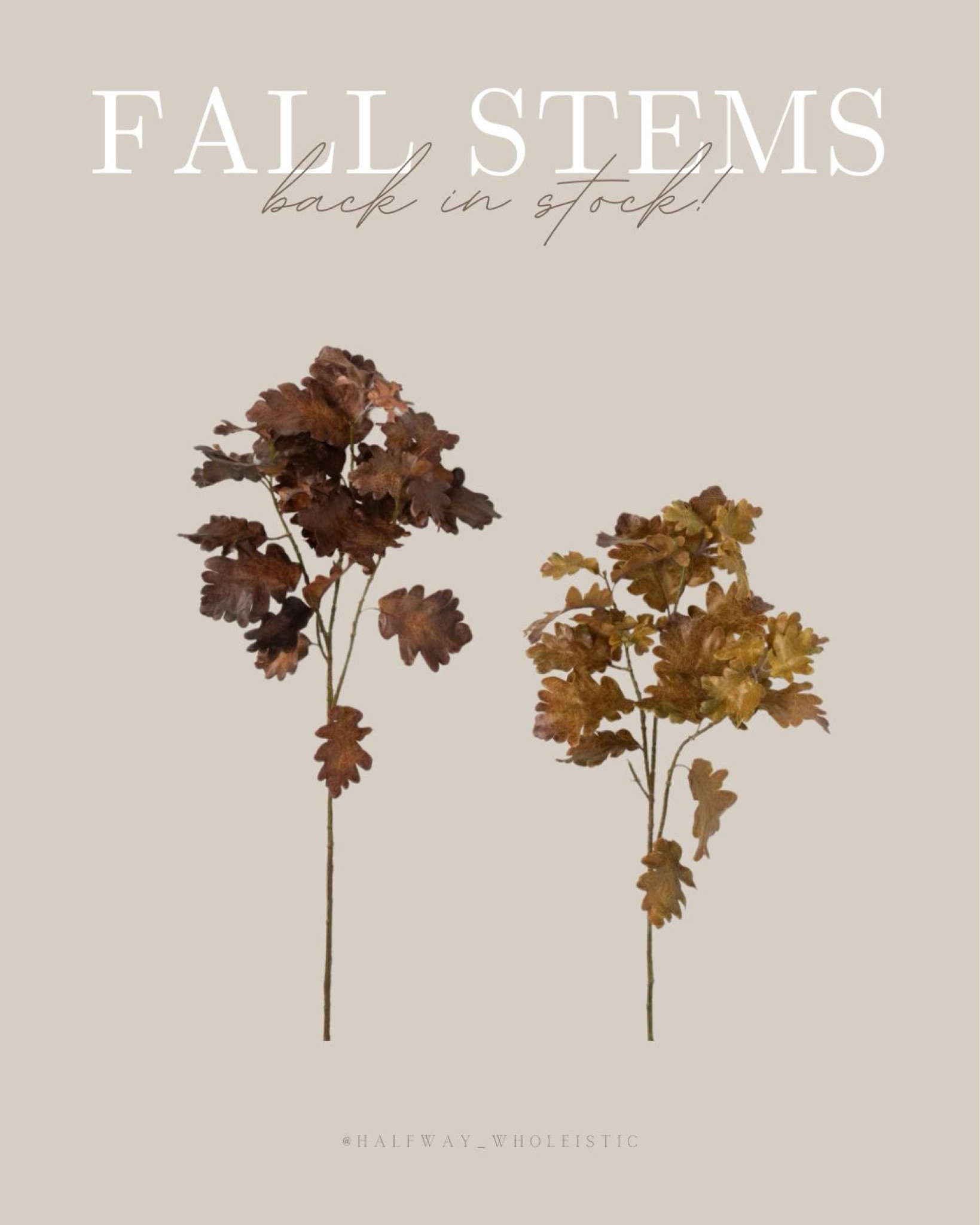 My favorite fall oak stems are back in stock!! You get 2 for $29. The color variation creates the perfect blend when you put them together   

#LTKFindsUnder50 #LTKSeasonal #LTKHome