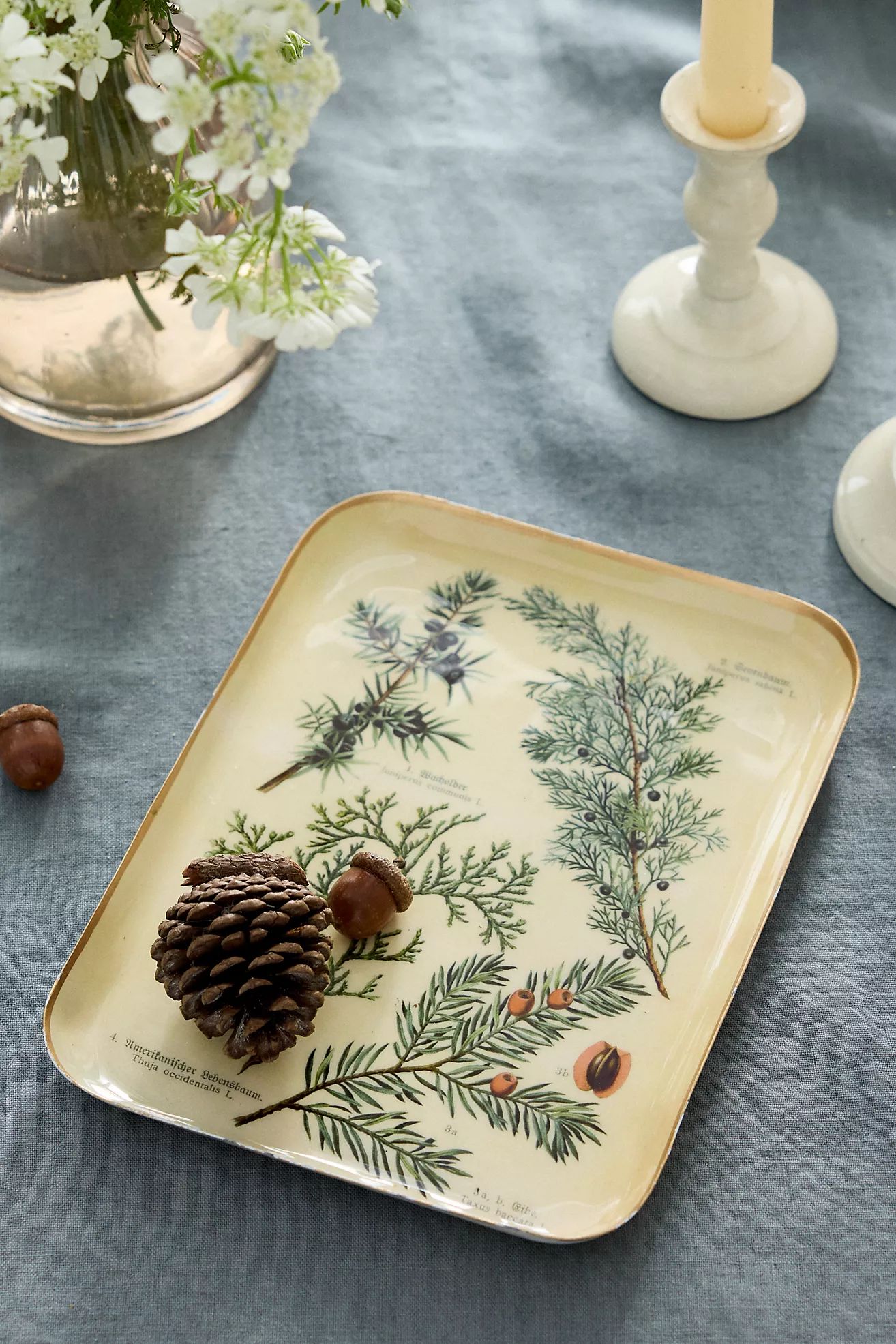 Printed Enamel Tray, Small | Terrain