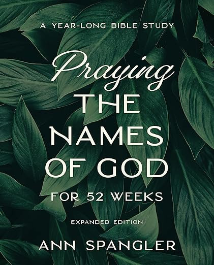 Praying the Names of God for 52 Weeks, Expanded Edition: A Year-Long Bible Study      Paperback ... | Amazon (US)