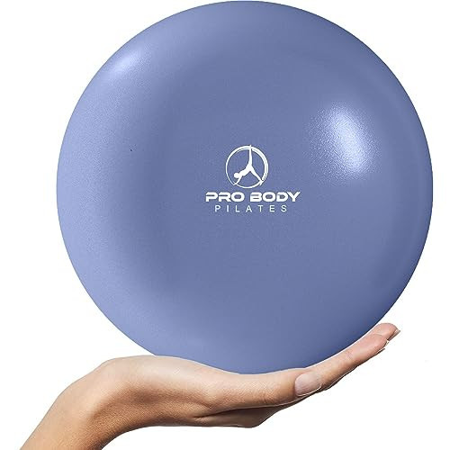 ProBody Pilates Ball 9 Inch - Small Exercise Ball for Between Knees or Barre, Core, Ab Workouts, Yoga, & Physical Therapy, Stability Ball (Indigo) | Amazon (US)