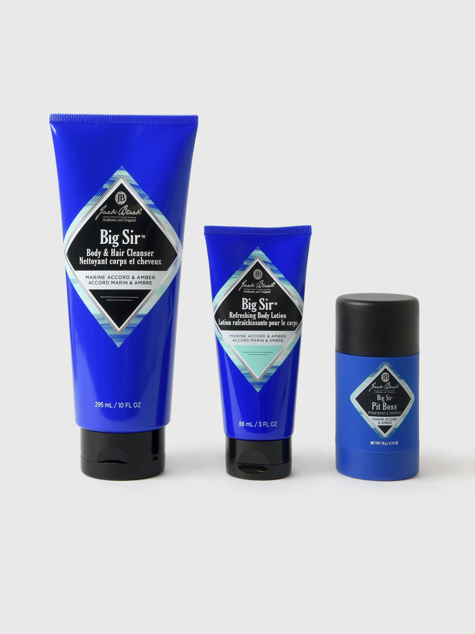 JACK BLACK
                      
                     The Big Sir Collection™ | Saint Bernard