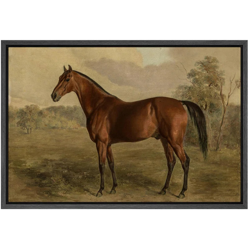 " Equestrian Portrait Of A Chestnut Horse Classic Equine Illustrations Rustic French Country " | Wayfair North America