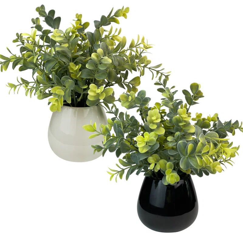 Eucalyptus Faux Plants in Ceramic Pots | Wayfair North America