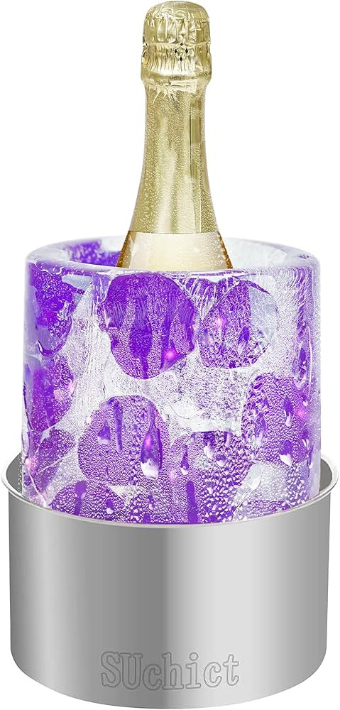 Ice Mold Wine Bottle Chiller,DIY Ice Bucket for Your Champagne/Wine/whisky/Cocktail/Beer/Drink at... | Amazon (US)