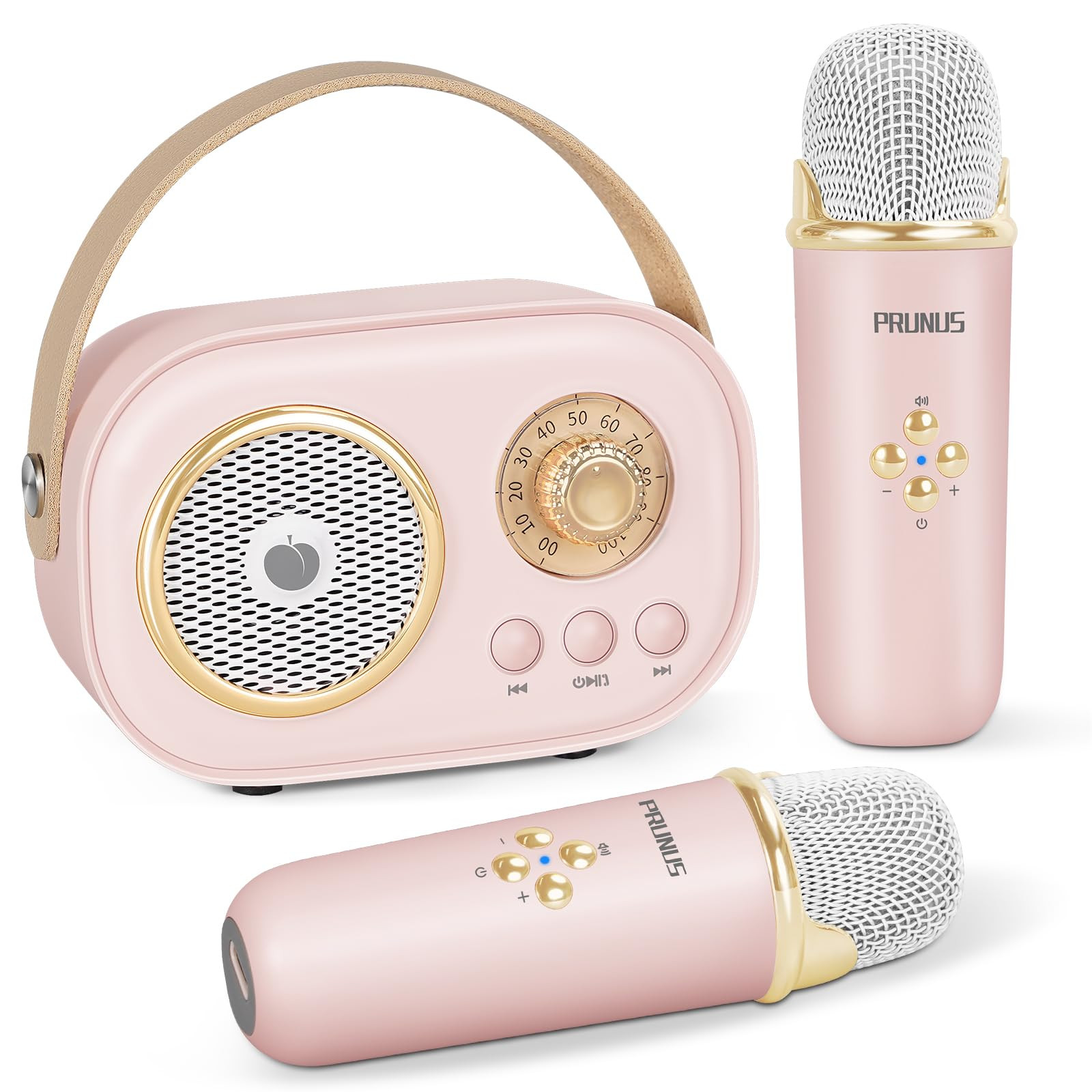 PRUNUS C20 Mini Karaoke Machine Portable Bluetooth Speaker with Wireless Microphone 6 Sound Modes... | Amazon (US)
