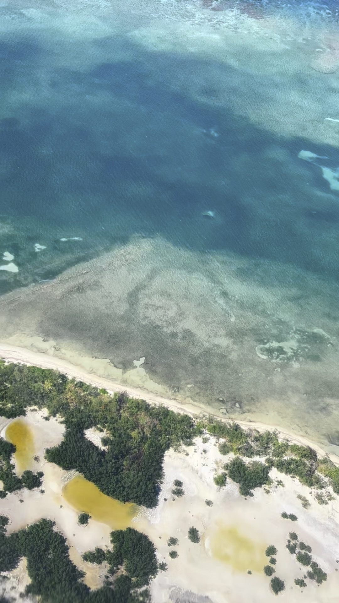 We had a fantastic time meeting up with family for a trip to Jamaica. The weather was fantastic and the vibes were great.
Here are some of my fave items that I packed.

#LTKWatchNow #LTKTravel #LTKSeasonal