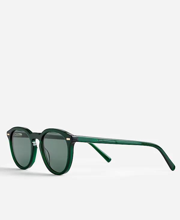 Round Acetate Sunglasses | Madewell | Madewell