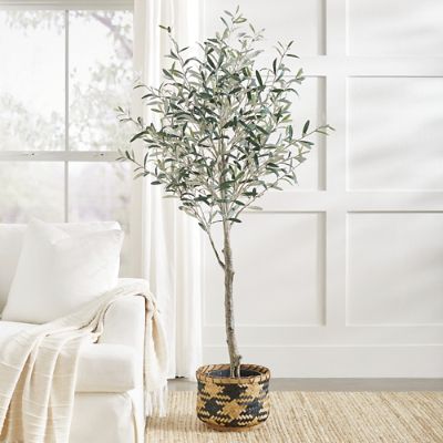 Olive Tree | Grandin Road | Grandin Road