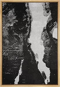 SIGNWIN Framed Canvas Wall Art Ink Blotch Abstract Brushstroke Illustrations Modern Art Minimalis... | Amazon (US)