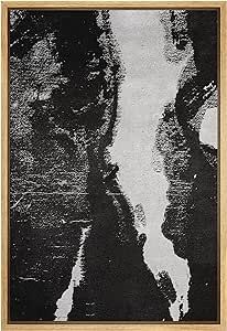 SIGNWIN Framed Canvas Wall Art Ink Blotch Abstract Brushstroke Illustrations Modern Art Minimalis... | Amazon (US)