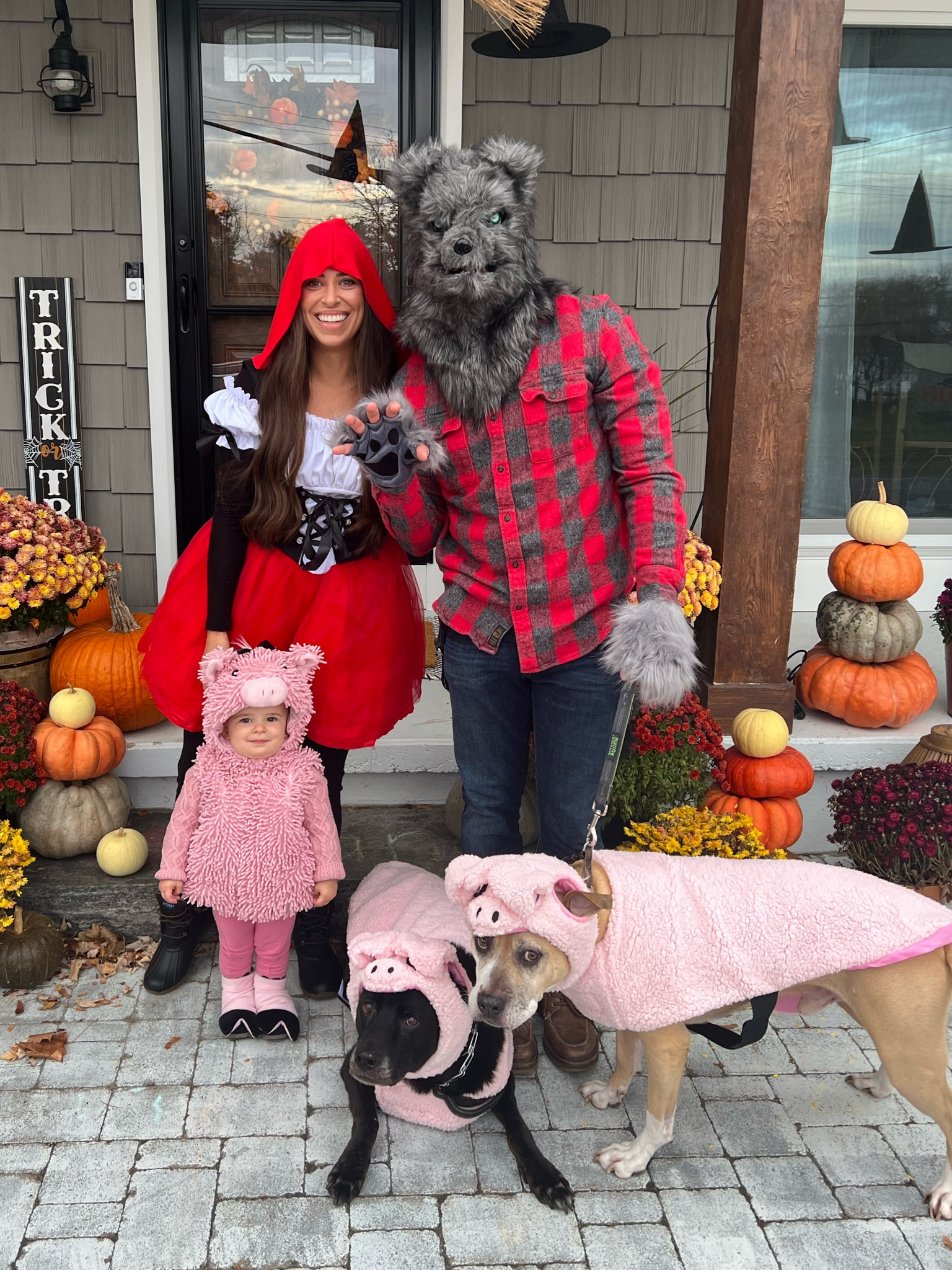 Family Halloween costume idea: little red hiding hood, the big bad wolf, and the three little pigs! 

Family dog costume idea | Halloween dog costume | Halloween toddler costume 

#LTKSeasonal #LTKFamily