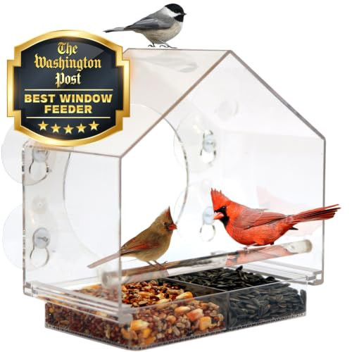 Nature Anywhere Window Bird Feeder - Weather Proof Transparent Acrylic Bird Feeders for Outdoors - Enhanced Suction Grip, Bird Watching for Cats, Easy-to-Clean, Outdoor Birdhouse Feeder (1 Unit) | Amazon (US)