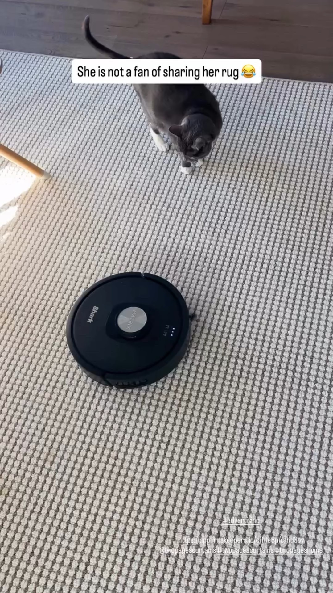 She is not a fan of sharing her rug 😂 #advertising

https://app.im.skeepers.io/c/hfe8p/c/hd3bv
@twopagescurtains #twopagescurtains #twopageshome