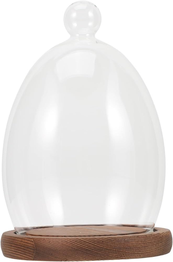 Abaodam Egg Glass Cover Bell Jar Display Case Clear Glass Dome Cloche Dessert Cloche Glass Dome G... | Amazon (US)