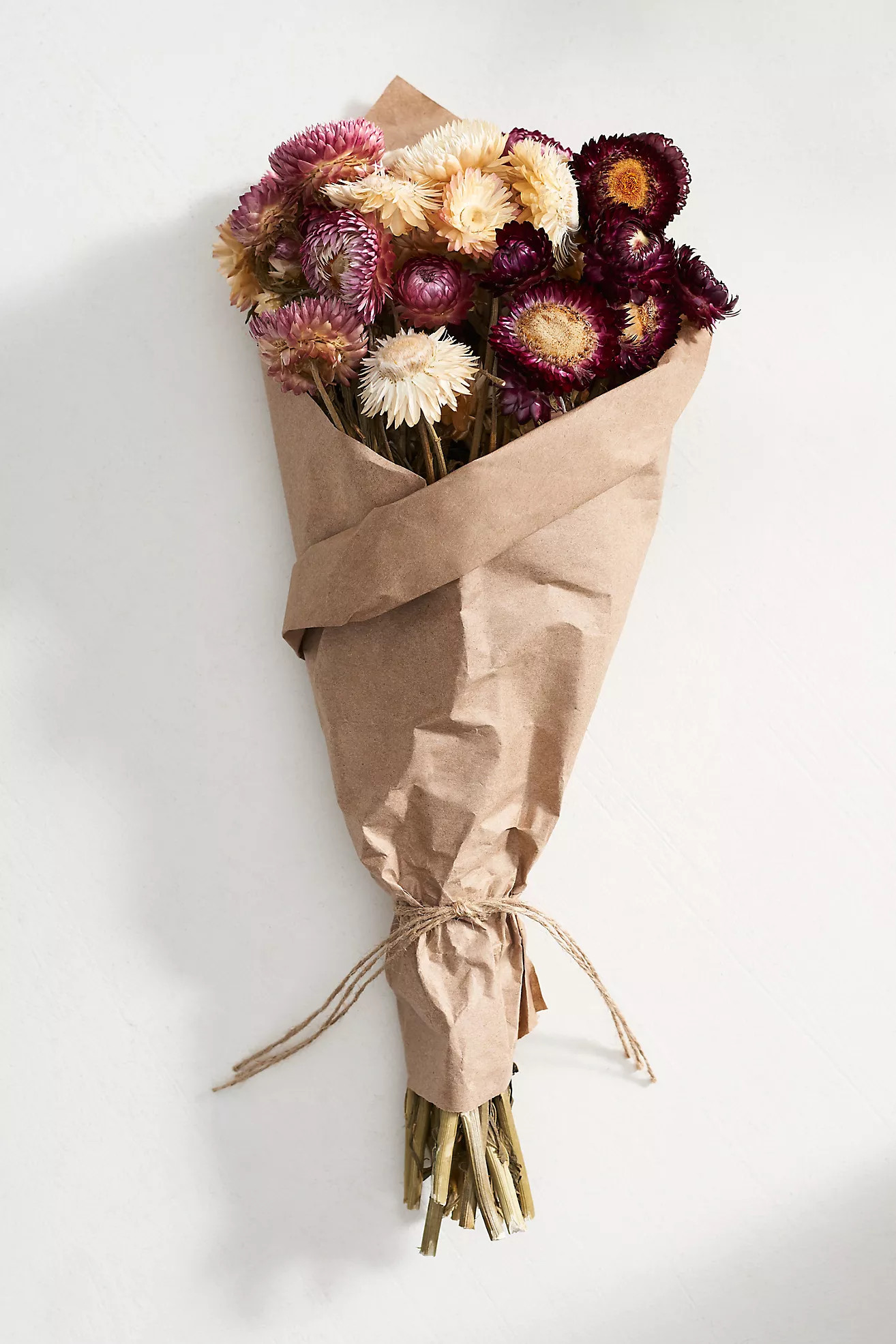 Preserved Strawflower Bunch | Anthropologie (US)