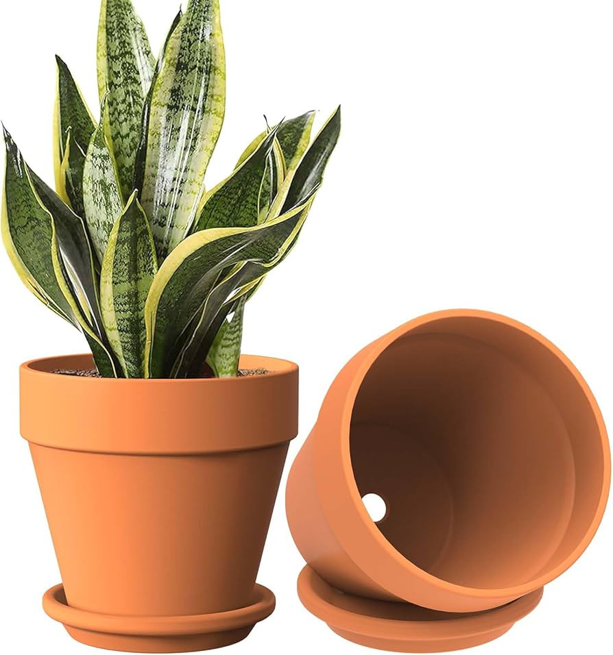 2 Pack Plant Pots for Flowers Terracotta 8 Inch, Large Planter Flower Pot Indoor with Drainage Ho... | Amazon (US)