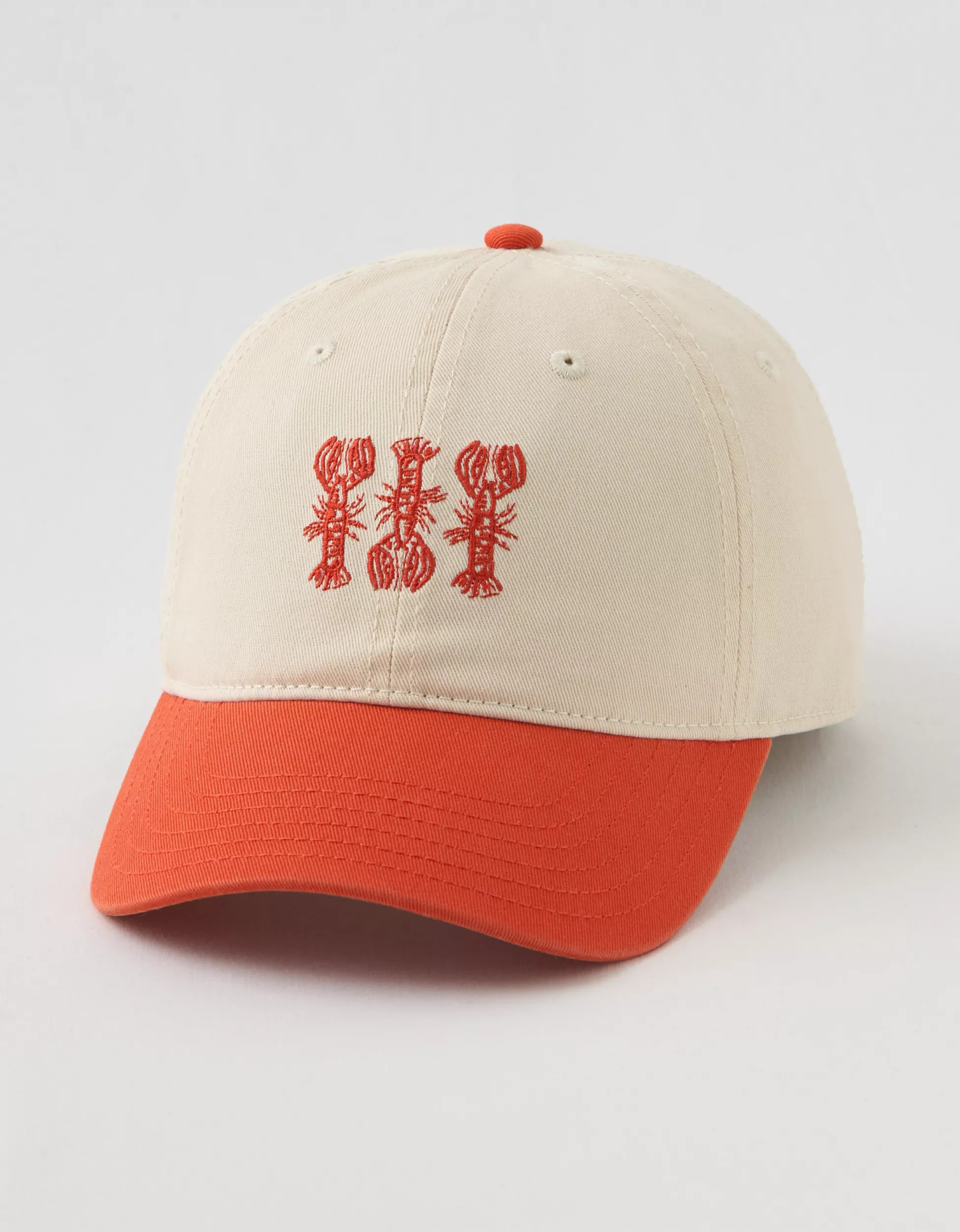 Aerie Colorblock Baseball Hat | Aerie