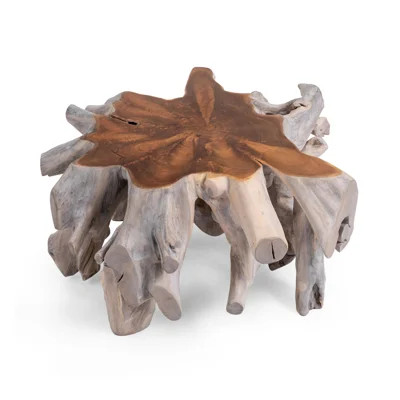 Cypress Teak Root Wood Coffee Table | Wayfair North America