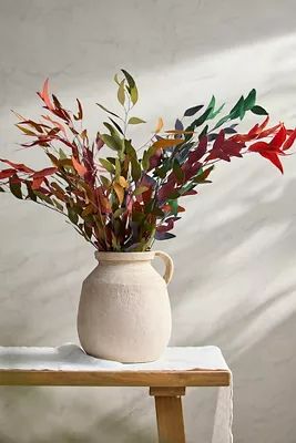 Preserved + Tinted Willow Eucalyptus Bunch | Anthropologie (US)