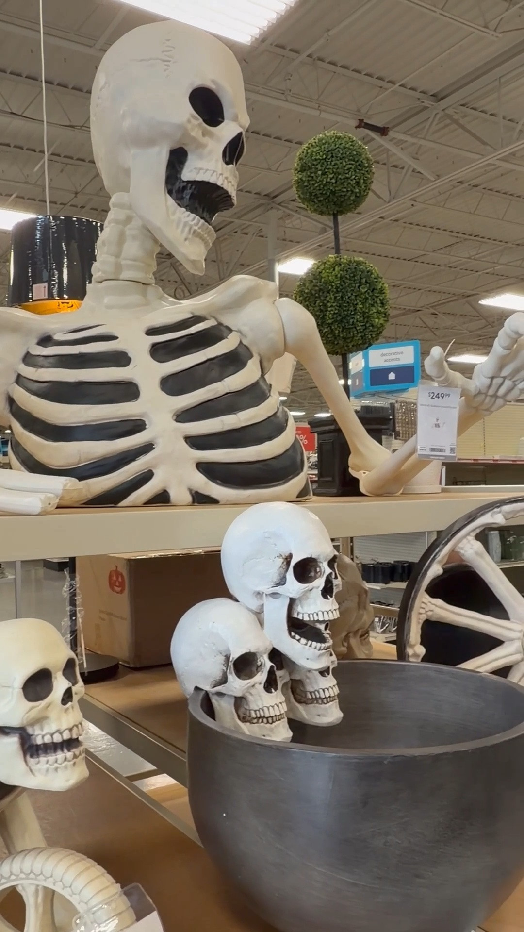 #halloween #halloweendecor #skeleton

#LTKSeasonal #LTKHome