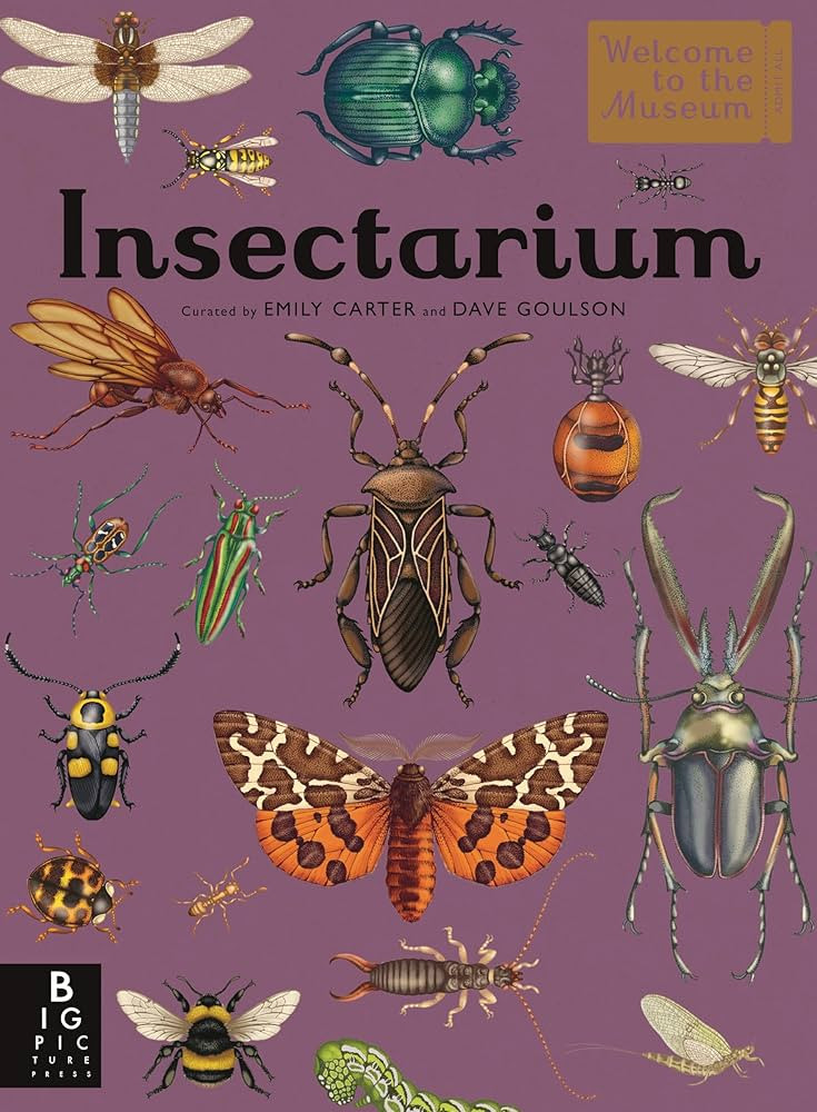 Insectarium: Welcome to the Museum (An Illustrated Junior Entomology Guide to Wild Bug Species, B... | Amazon (US)