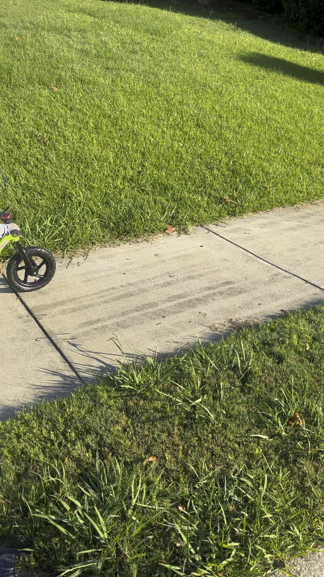 Just another early morning bike ride to get our zoomies out first thing in the morning. 10/10 recommend this bike for little bikers. 

#LTKFindsUnder100 #LTKKids #LTKGiftGuide