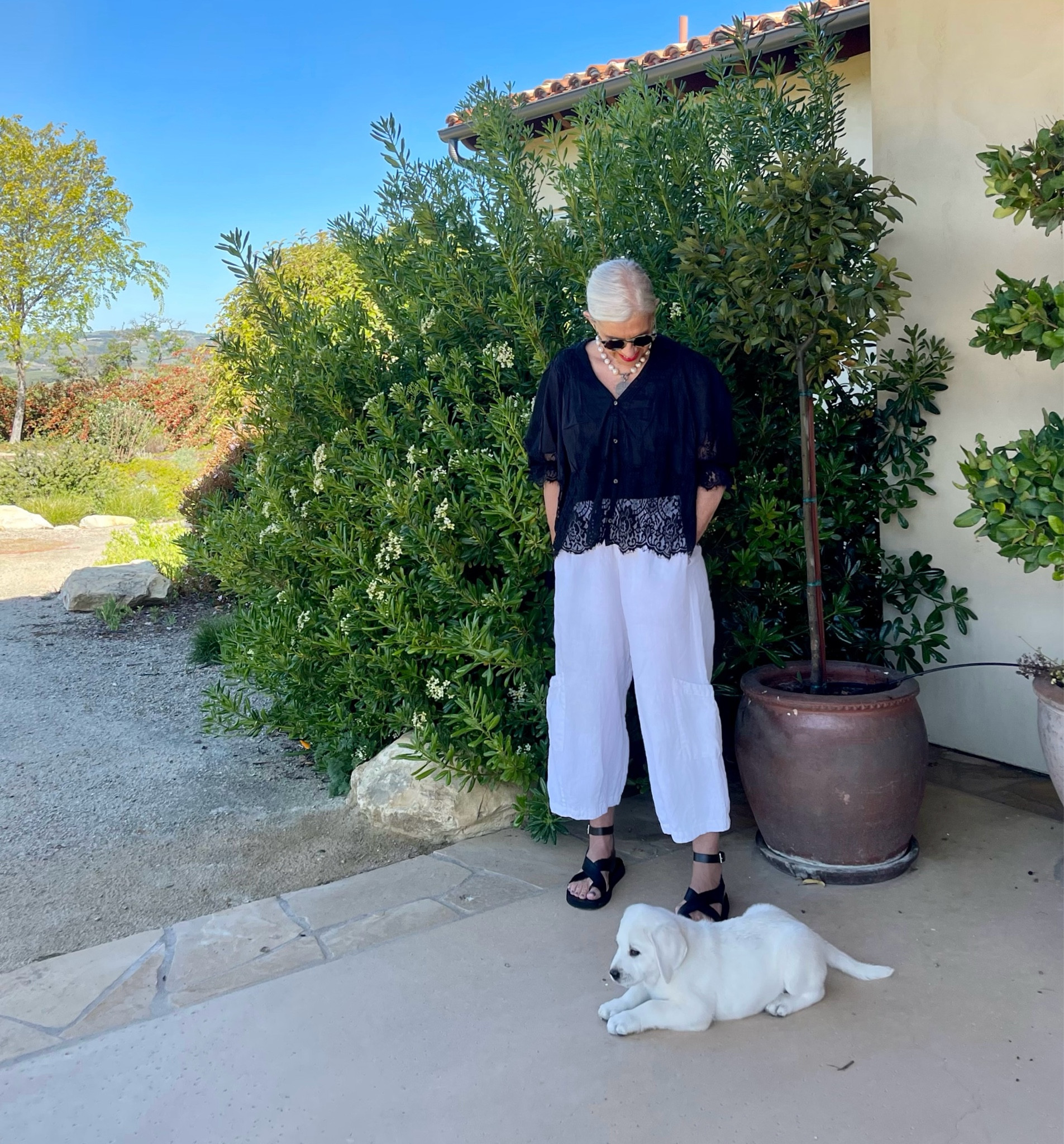 Anthropologie Black lace top bryn walker linen pant madewell black sandals


#linen #lace #over50

#LTKFestival #LTKstyletip #LTKSeasonal