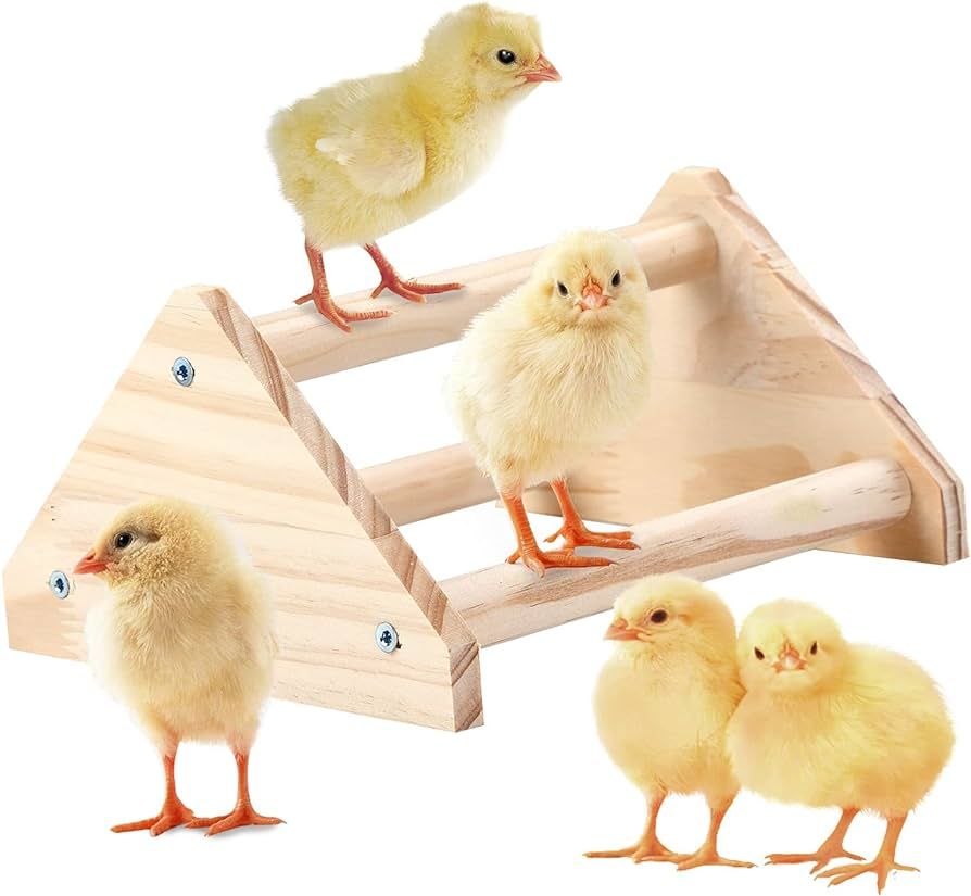Chicken Perch Strong Pine Wooden Chick Jungle Gym Roosting Bar, Chick Perch Toys for Coop and Bro... | Amazon (US)