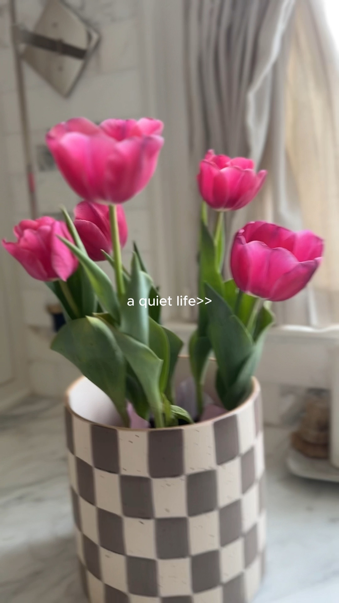 Spring is in the air, and these tulips have found the cutest home! This checkered indoor-outdoor planter is giving all the fresh, happy vibes—perfect for adding a touch of charm to any space. Bring on the sunshine and blooms! 🌷✨ #SpringVibes #CheckeredCharm #TulipLove

#LTKFindsUnder50 #LTKHome #LTKFamily