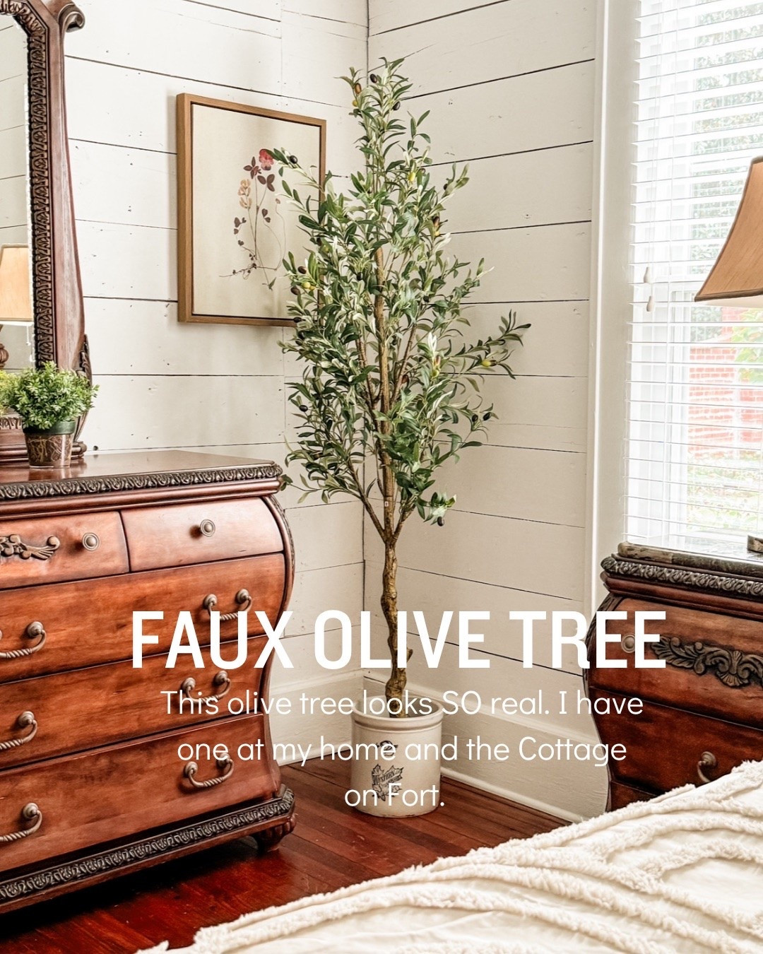 This faux olive tree looks so real. I have one at my home and Cottage on Fort. 

Amazon, Amazon finds, Amazon home, home finds, prime days, big deal days, Amazon prime days, home deals, home steals, kitchen, kitchen deals, home hacks

#LTKOver40 #LTKHome #LTKSaleAlert