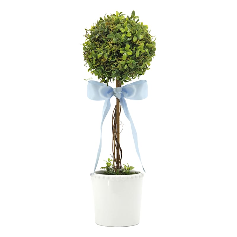 Single Ball Boxwood Topiary with Blue Bow in Ceramic Vessel, 18" | At Home