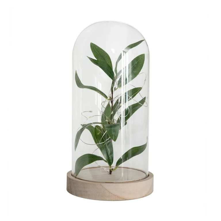 Mainstays 10" Indoor Tabletop LED Cloche with Faux Green Plant and Natural Wood Base | Walmart (US)